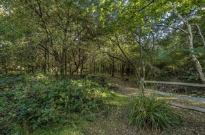 Photo 24- click for photo gallery